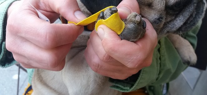 Sport Tape setzen am Fuss