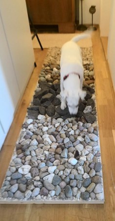 Fußpfad in München