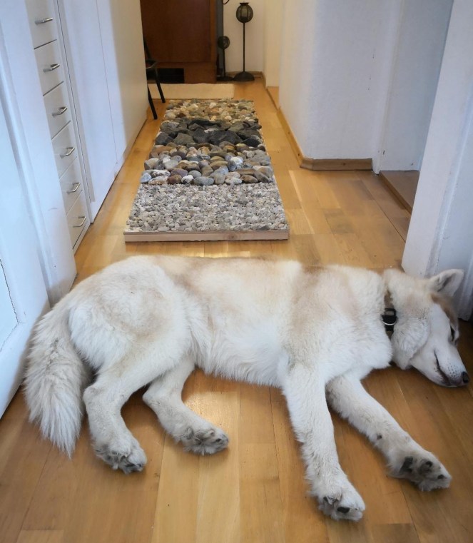 Fußreflexzonenparcours rikefe